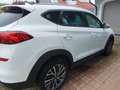 Hyundai TUCSON Tucson 1,6 CRDI 4WD Level 3 Plus Aut. Weiß - thumbnail 11