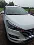 Hyundai TUCSON Tucson 1,6 CRDI 4WD Level 3 Plus Aut. Weiß - thumbnail 3