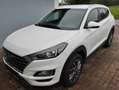 Hyundai TUCSON Tucson 1,6 CRDI 4WD Level 3 Plus Aut. Weiß - thumbnail 1