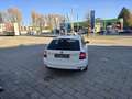 Skoda Octavia Octavia Combi 1,6 TDI Ambition Ambition Weiß - thumbnail 8