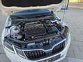 Skoda Octavia Octavia Combi 1,6 TDI Ambition Ambition Weiß - thumbnail 11