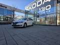 Skoda Octavia Octavia Combi 1,6 TDI Ambition Ambition Weiß - thumbnail 4