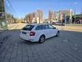 Skoda Octavia Octavia Combi 1,6 TDI Ambition Ambition Weiß - thumbnail 6