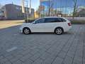 Skoda Octavia Octavia Combi 1,6 TDI Ambition Ambition Weiß - thumbnail 10