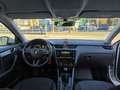 Skoda Octavia Octavia Combi 1,6 TDI Ambition Ambition Weiß - thumbnail 13