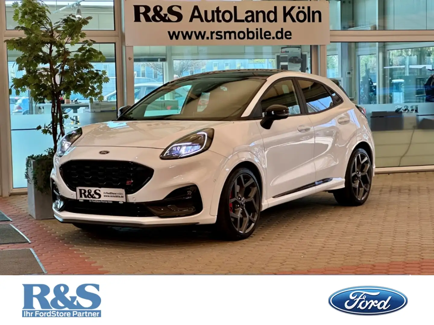 Ford Puma ST X+Automatik+Pano+AHK+B&O+Navi+Kamera Wit - 1
