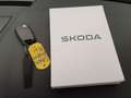 Skoda Karoq 1.5 TSI 150pk DSG/AUT Style Camera, App connect, F Negro - thumbnail 21