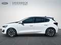 Ford Focus 1.5 EcoBlue Titanium LED+Navi+Klima+LM Weiß - thumbnail 2