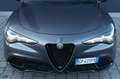 Alfa Romeo Stelvio 2.2 Turbodiesel 160 CV AT8 Sprint Grigio - thumbnail 14