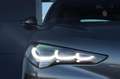 Alfa Romeo Stelvio 2.2 Turbodiesel 160 CV AT8 Sprint Grigio - thumbnail 15