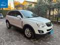 Opel Antara 2.2 CDTI 163CV COSMO Bianco - thumbnail 3