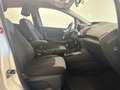 Ford EcoSport EcoSport 2014 1.0 Titanium 125cv E6 NEOPATENTATI Weiß - thumbnail 21