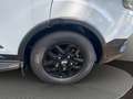 Crosscamp Urban Camper LITE Ford Weiß - thumbnail 8