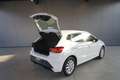 SEAT Ibiza Reference Edition 1.0 80PS Weiß - thumbnail 14