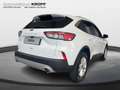 Ford Kuga 1.5 EcoBoost Titanium LED ACC HEADUP SPORTS Blanc - thumbnail 5