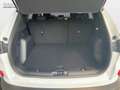 Ford Kuga 1.5 EcoBoost Titanium LED ACC HEADUP SPORTS Blanc - thumbnail 7