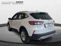 Ford Kuga 1.5 EcoBoost Titanium LED ACC HEADUP SPORTS Blanc - thumbnail 3