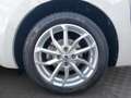 Suzuki Swift 1,2 HYBRID DUALJET CLEAR Weiß - thumbnail 14