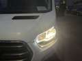 Ford Transit 2.0ECOBLUE 130CV L2H2 350 Blanco - thumbnail 16