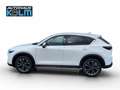 Mazda CX-5 G165 e-Skyactiv MHEV Exclusive-Line Weiß - thumbnail 3