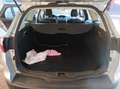 Ford Focus SW 1.6 tdci Plus 115cv - thumbnail 4