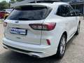 Ford Kuga 2.5 PHEV Vignale 225pk | Afneembare Trekhaak | Pan Wit - thumbnail 7