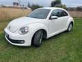 Volkswagen New Beetle 1.9 tdi 105cv Bílá - thumbnail 1