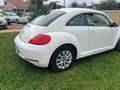 Volkswagen New Beetle 1.9 tdi 105cv Blanc - thumbnail 2