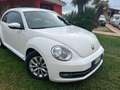 Volkswagen New Beetle 1.9 tdi 105cv Blanc - thumbnail 8