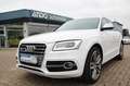 Audi SQ5 3.0 TDI competition quattro Xenon/Pano/B&O Blanc - thumbnail 2