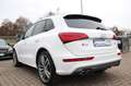 Audi SQ5 3.0 TDI competition quattro Xenon/Pano/B&O Blanc - thumbnail 6