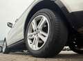 Land Rover Range Rover Evoque Dynamic Weiß - thumbnail 5