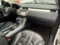 Land Rover Range Rover Evoque Dynamic Weiß - thumbnail 8