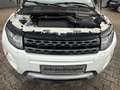 Land Rover Range Rover Evoque Dynamic Weiß - thumbnail 7