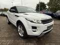 Land Rover Range Rover Evoque Dynamic Weiß - thumbnail 2