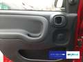 Fiat Panda 1.0 Mild Hybrid RED *Klimaautom*Bluetooth*DAB* Rood - thumbnail 14