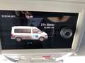 Volkswagen T6 California T6.1 Beach Edition Camp - DSG - 4-Motion + AHK Gris - thumbnail 18