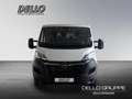 Opel Movano Doka Schoon-Umbau 3-Seiten-Kipper L3H1 3,5t Weiß - thumbnail 2