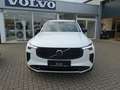 Volvo XC90 Ultra Dark T8 AWD PANO/B&W/FOUR-C/360°KAM Weiß - thumbnail 7