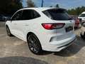Ford Kuga Plug-In Hybrid ST-Line X *GJR-HUD-eHeck* Weiß - thumbnail 2