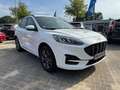 Ford Kuga Plug-In Hybrid ST-Line X *GJR-HUD-eHeck* Weiß - thumbnail 4