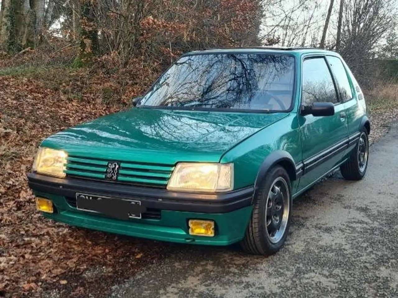 Peugeot 205 1.9i GTi, foto 5