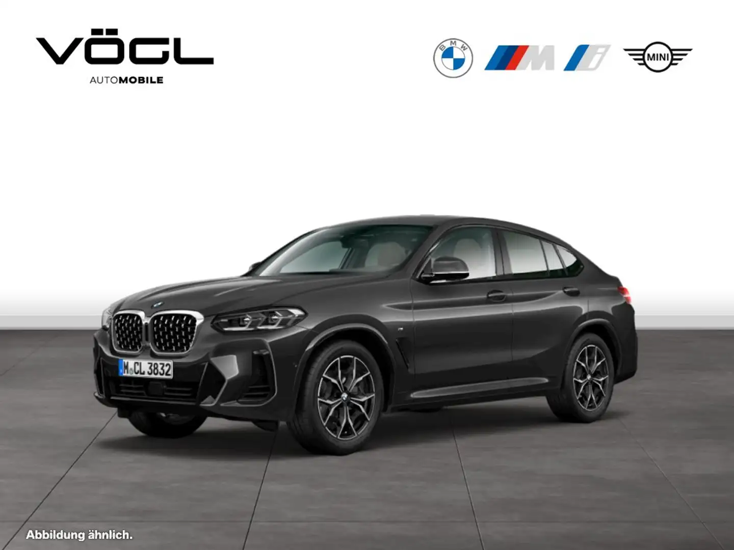 BMW X4 xDrive30d M Sportpaket Adapt.LED AHK HiFi Grau - 1