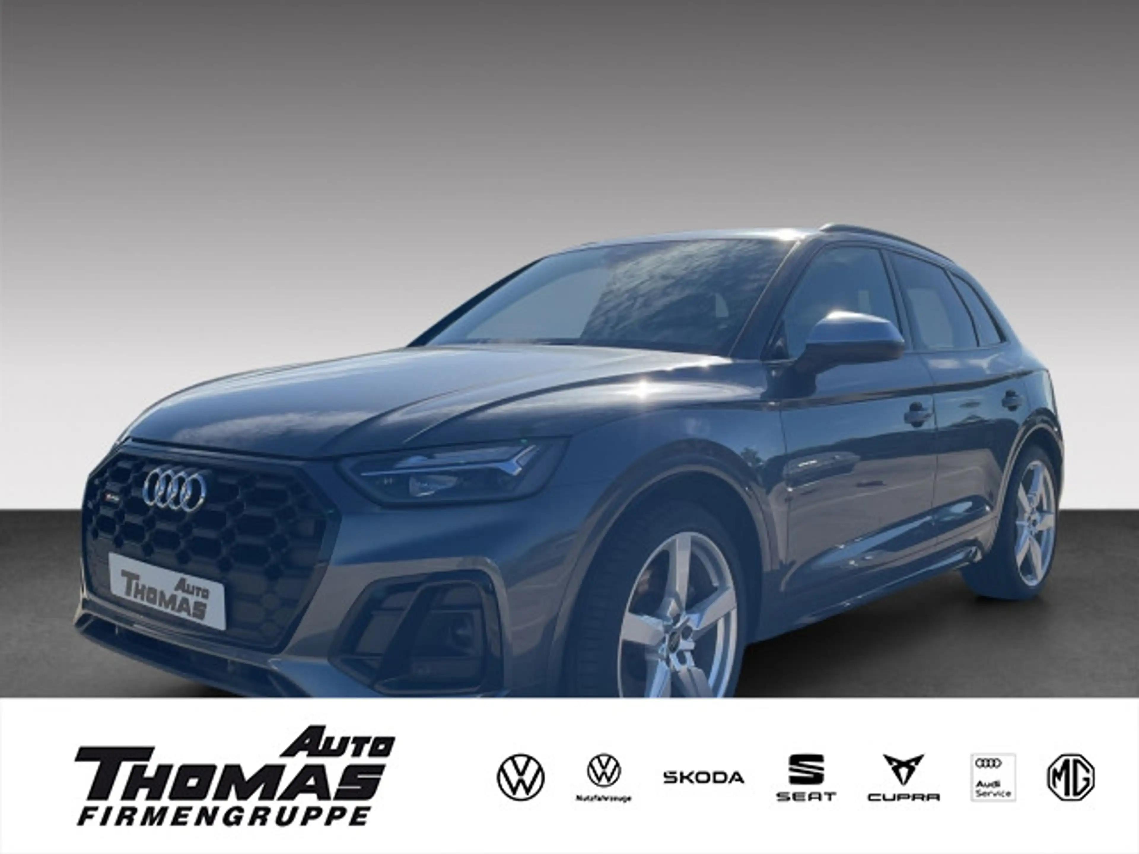 Audi SQ5 3.0 TDI quattro Tiptronic LED+LEDER