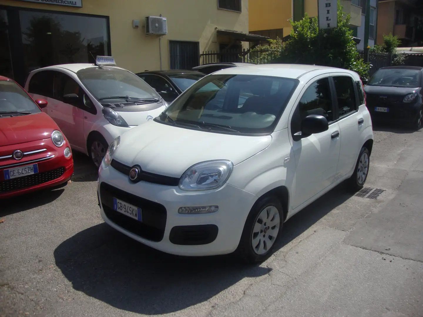 Fiat Panda Panda 1.2 Benzina 69cv Bianco - 2