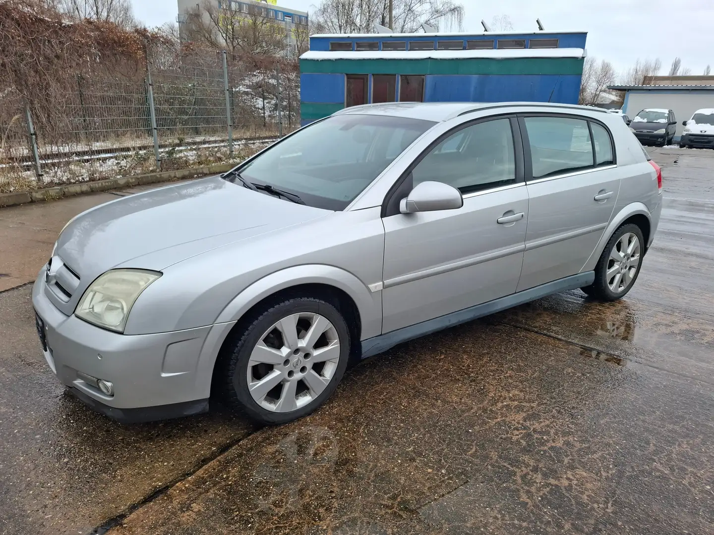 Opel Signum Elegance Grau - 1