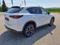 Mazda CX-5 G165 e-Skyactiv MHEV Exclusive-Line Aut. Weiß - thumbnail 3