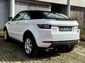 Land Rover Range Rover Evoque Cabriolet/Leder/AHK Weiß - thumbnail 10
