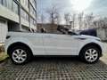 Land Rover Range Rover Evoque Cabriolet/Leder/AHK White - thumbnail 4