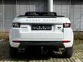 Land Rover Range Rover Evoque Cabriolet/Leder/AHK Blanc - thumbnail 7